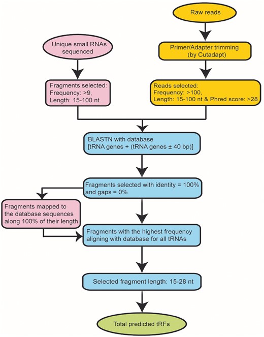 Methodology used for the identification of tRFs.
