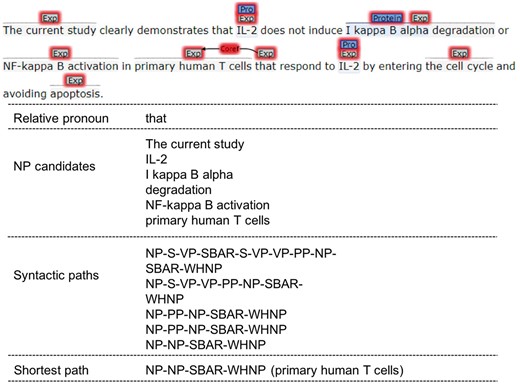 Relative pronoun resolution.