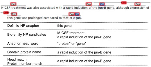Definite NP resolute.