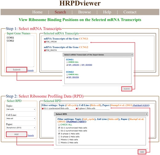 The input page of the search mode. Users have to select the mRNA transcripts and RPDs of interest.