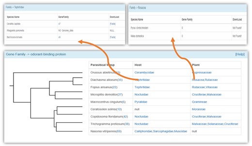 The identified gene families in the WaspBase.