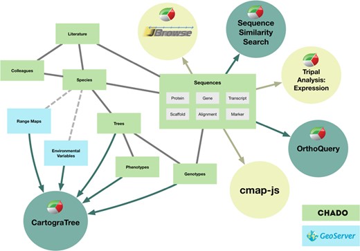 The internal design of Chado and connections to other areas of TreeGenes. Items in green boxes are part of the structure of the Chado relational database. Items in blue are used exclusively for CartograTree, but the module does pull data from multiple parts of the database. Sequence data are displayed or manipulated by a number of tools. The tools developed by TreeGenes are dark green, and the ones implemented by other groups are in light green.