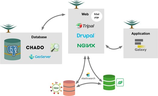 Conceptual overview of the TreeGenes database. The architecture (hardware and software) underlying TreeGenes. There are three distinct servers: database, web and application. The database server, running PostgreSQL, houses
Chado and GeoServer. This connects to the web server which houses Tripal, Drupal and the web server software, NGINX, as well as FTP through h5ai. ElasticSearch is installed as an extension module to provide access to indexed content in the database and search indexed content in partner databases (Genome Database for Rosaceae and Hardwood Genomics Web). The web server connects to the app server which hosts Galaxy and gives TreeGenes users access to computational resources.