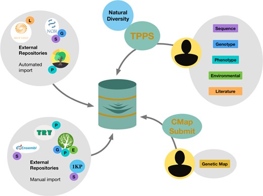 Submission and data acquisition avenues for the TreeGenes database. Clockwise from top left: TreeGenes automatically imports literature data from Web of Science, sequence and genotypic information from GenBank and georeferenced phenotypic data from TreeSnap; users can submit genotypic, phenotypic, environmental and literature data through the TPPS platform; users can also submit genetic maps through the CMap pipeline; TreeGenes managers manually import sequence data from Ensembl and 1KP, phenotypic data from TRY-DB and georeferenced genotypic and phenotypic data from Dryad.