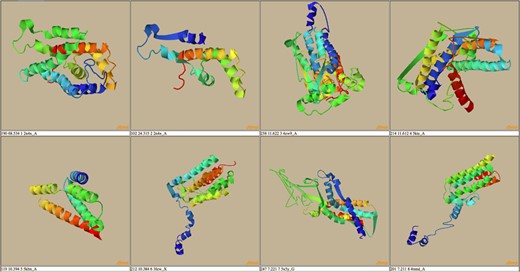 Top eight threading alignments from HHSearch for the protein RCNA P76425.