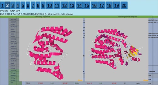 Second best threading template for RCNA P76425 from SPARKS-X.