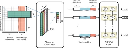 Deep neural network architecture of the NER model.