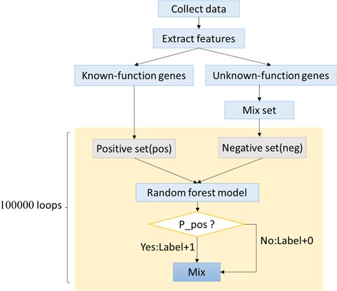 The framework of ORFL.
