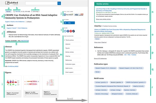 PubMed Labs abstract page with highlighted content. (a) Major publication type. (b) Abbreviated journal name. (c) Publication date. (d) Title. (e) List of full author names. (f) Author affiliations. (g) PMID and PMCID. (h) Abstract. (i) Figures. (j) Full text links. (k) Cite button. (l) Sharing options. (m) Navigation menu. (n) Similar article list. (o) List of articles citing this paper in PMC. (p) References listed in this article. (q) Full list of publication types. (r) MeSH concepts indexing this article.