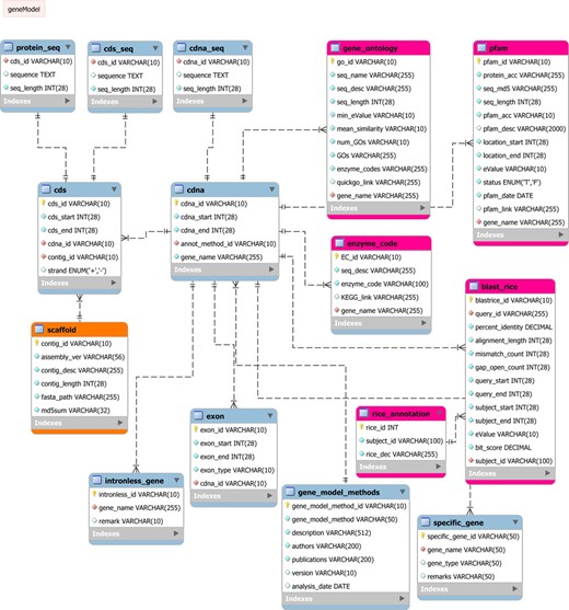 ERD of PalmXplore-DB. The ERD shows the conceptual data structure used in PalmXplore-DB. Entities and relationships are represented as boxes and dotted lines between the boxes, respectively. The database structure consists of 15 tables presented in three modules (represented by different colours).