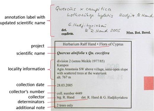 Information on specimen labels.