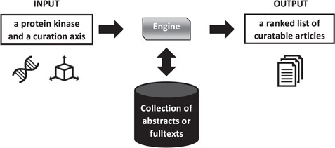 Overview of literature triage for the Kinome Track. The axis is either diseases or biologicial processes. The collection differs depending on the task, abstracts or full texts.