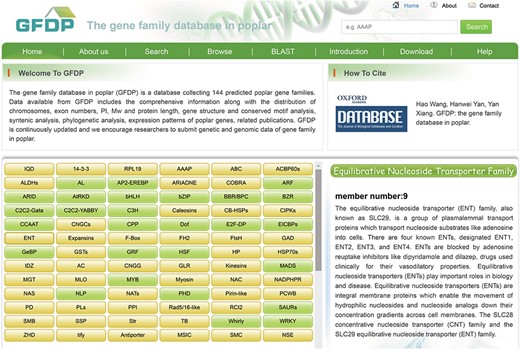 The home page of GFDP.