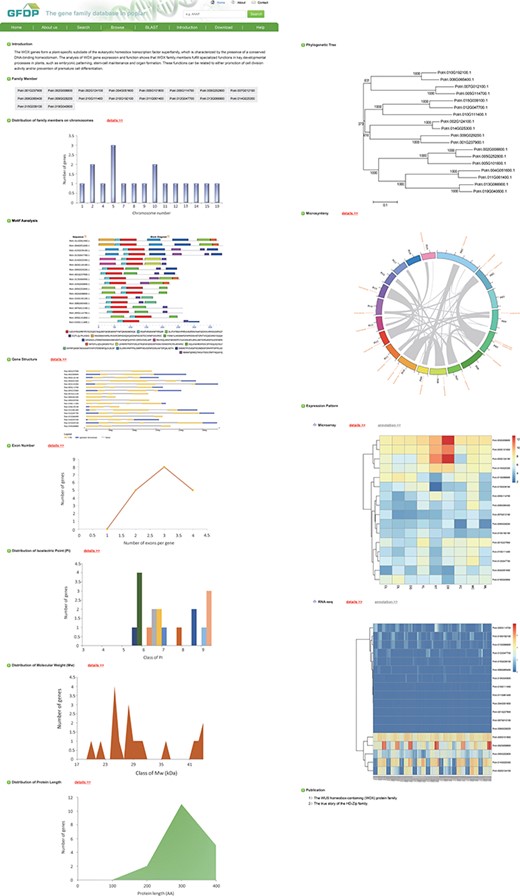 The gene family page of GFDP (e.g. SMC).