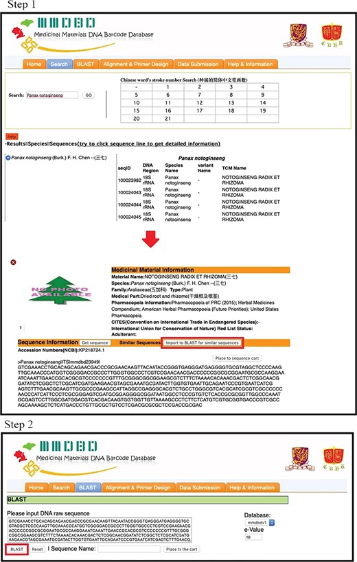 The operating procedures of primer design on the one-stop platform—sequence search and BLAST.