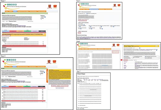 (1) The operating procedures of primer design on the one-stop platform—selection of blasted sequences into sequence cart. (2) The operating procedures of primer design on the one-stop platform—multiple sequence alignment and primer design.