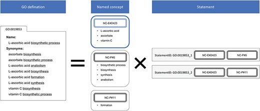Decomposition of the GO definition. NC-P#5 and NC-P#11 were defined heuristically in our regular expression, and the naïve NC-E#2423 was generated in this process. The redundant nine definitions of GO:0019853 are simplified into two statements. The variant spellings of vitamin C are handled by NC-E#2423.