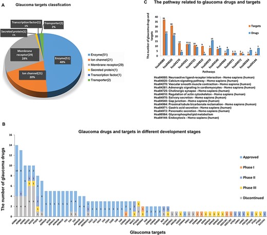 (A) The number and variety of glaucoma-related targets. (B) Glaucoma drugs in different development phases according to their corresponding targets. (C) The pathways in which glaucoma related targets and drugs are involved.