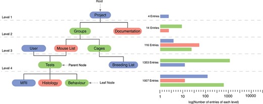 Graphical illustration of the database relations shown as tree structure. The root of the tree is represented by the entity `project’ and the leaves represent different test procedures. The bar graph represents an example of the number of entries for each level.