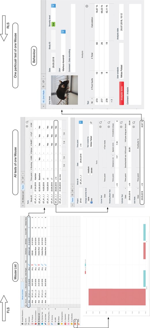 In the database model, a single mouse in the `Mouse List’ is related to different tests. These tests represent the in vivo and ex vivo experiments and are summarized in the `Tests’ table view. By selecting a specific data, it is possible to navigate from the mouse list to the specific test, in this example the grid walk test and access the raw data. The data entry is confirmed and signed electronically with the button `Analysis done’ (right). The plot function is available for a single mouse experiment or through the specific plot feature for a group of selected mice (bottom left). In this example, the average value for the distance walked over the rotating beam is plotted for a stroke and sham surgery group of mice.