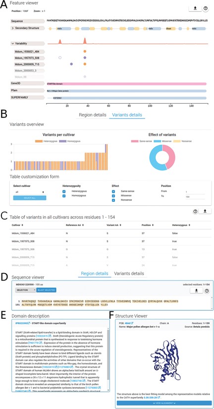 Region and variants description. The detailed region and variants description for PhytoTypeDB entry MD03G1220500 is shown. (A) Feature viewer. The sequence feature viewer is fully interactive, allowing to zoom and to select regions of interest; showing sequence, secondary structure, variability and domain annotations. More details can be visualized for secondary structure (helix, strand, coil propensity) and variability tabs (open in the figure) by clicking on their respective tabs. Different cultivars are shown, one per row, with variant sites indicated by empty (same-sense) or full circles (missense) of different colors (purple for heterozygous and gold for homozygous). (B) Variants overview showing a histogram for the distribution of variants for each different cultivar. The effect of variants is shown as a pie chart on the right side. A form allows to customize the variants to be shown by selecting cultivars, type of variant, effect and limit positions along the sequence. (C) Variants for the selected sequence region are shown in a detailed table containing the cultivar name, reference and variant amino acid type, position and zygosity information. (D) Sequence viewer showing the sequence region selected in the feature viewer. Sequence searches using BLAST from the selected sequence can be performed by clicking on the corresponding button. (E) A domain description from InterPro is shown after it is selected in the feature viewer. (F) Whenever a GENE3D domain is selected in the feature viewer, a separate and interactive structure viewer shows the PDB file with the most similar structure. Details about the PDB file are shown and the sequence to structure alignment can be visualized by clicking on the corresponding button.