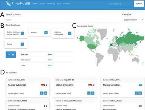 Cultivar selection page. The PhytoTypeDB cultivar selection page is shown forM. x domestica. (A) Cultivars can be selected directly by their name where known. (B) Selected cultivars can be joined into complex searches for the intersection and union of genes with variants. The calculation is made on the fly after clicking the button, updating the statistics. Clicking on the count column will lead to a separate search page where the matching sequence entries are listed. (C) The geographic origin of the cultivars visualizes the countries of origin of the selected cultivars, with shades of green defining the relative abundance. (D) Detailed names of the cultivars containing the ID, full name, country of origin (by national flag) and number of genes with variants relative to the reference genome. The plus button allows to add the cultivar to the selection, while the magnifying glass leads to a separate search page listing the sequences with variants.