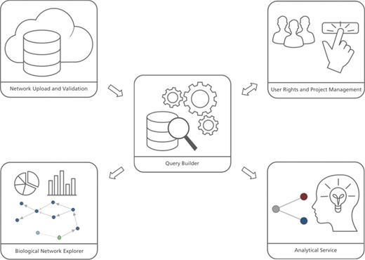 BEL Commons comprises several components: (i) the network uploader and validator, (ii) user rights and project management, (iii) the query builder, (iv) the biological network explorer and (iv) the analytical service.
