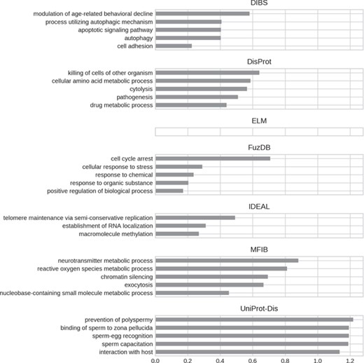 Top five enriched biological process GO terms. Only high-level terms are shown to improve readability (see Materials and Methods). The x-axis represents the fold increase compared to the background.