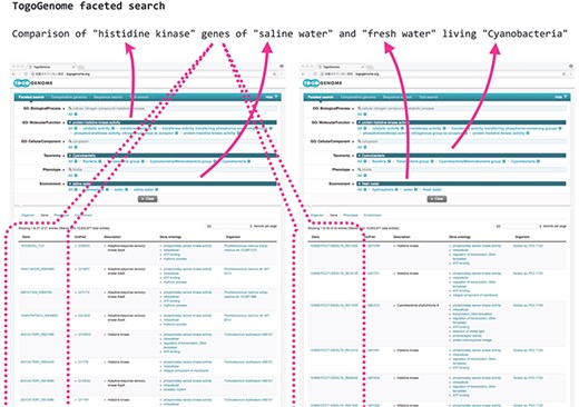 TogoGenome faceted search.