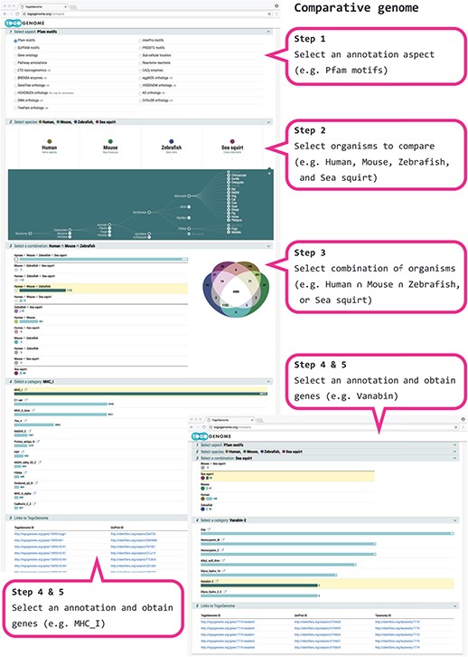 TogoGenome comparative genomics.
