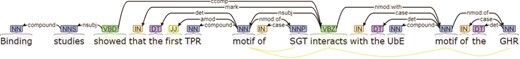 Grammatical dependencies graph.