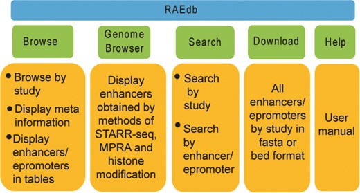 Structure of RAEdb database.