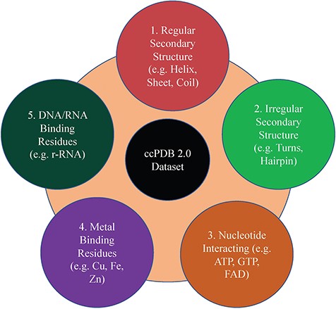 Dataset types present in ccPDB 2.0.