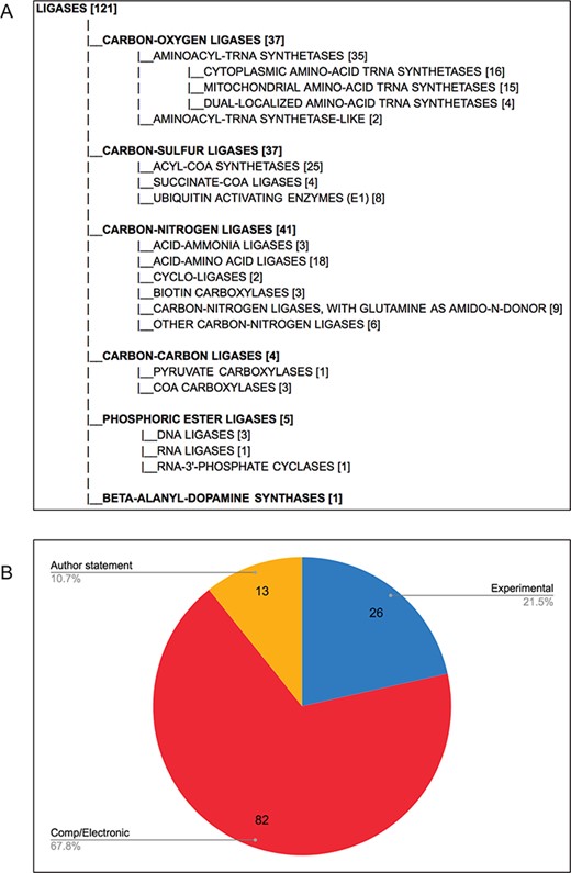 D. melanogaster ligases, following comprehensive review. (A) Hierarchical view of the final LIGASES Gene Group, showing the number of members in each subgroup. Note that four genes encode enzymes that fall into two different subgroups, meaning the sum of the genes in the subgroups totals 125 rather than 121. (B) Types of evidence supporting annotation as ligases in FlyBase. Experimental: ligase activity has been directly shown for the D. melanogaster enzyme; comp/electronic: there is no experimental evidence for ligase activity, but activity is inferred by sequence similarity, ancestry to a proven ligase and/or presence of a conserved protein signature associated with that activity (InterPro2GO mapping); author statement: there is no experimental, computational or electronic annotation evidence for ligase activity, but activity is asserted in a published research paper.
