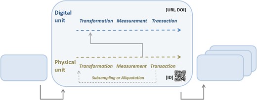 Workflow segments concatenated to a workflow. A workflow segment comprises the elementary operations transformation, measurement and transaction being applied once or twice (due to preceding subsampling or aliquotation) to a physical object in focus, and the generation of data (measurement) and its subsequent transformation, measurement and transaction within the segment.