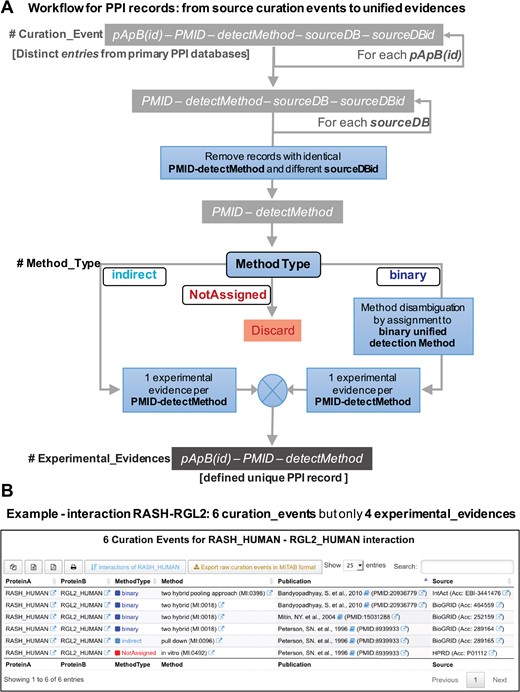 (A) Workflow for the PPI records that illustrates the procedure followed in the reconstruction of APID: from the original raw `curation events’ to the final unified `experimental evidences’. (B) View of the new data tables that APID database includes. The example corresponds to the interaction between two proteins (RASH and RGL2) and reveals that despite the existence of six original curation events, this interaction is only supported by four distinct experimental evidences.