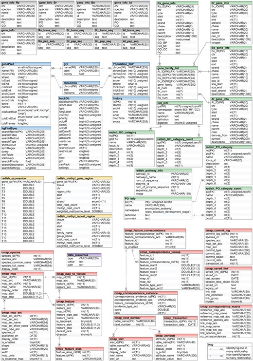 Database structure of RadishGD showing organization and relationship of entities. The boxes represent SQL database tables with table names in bold and column names in regular black. RadishGD consists of six units providing access to the radish genome data sets: Search (gray), Functional annotation (green), Genome Browser (blue), Expression (yellow), Genetic map (red) and Data resources (purple).