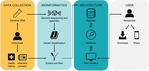 High-level workflow of the database. The workflow is divided into four subwork processes including ‘Data Collection’, ‘Bioinformatics’, ‘Architecture’ and ‘User’, grouped by four different color-rounded rectangles.