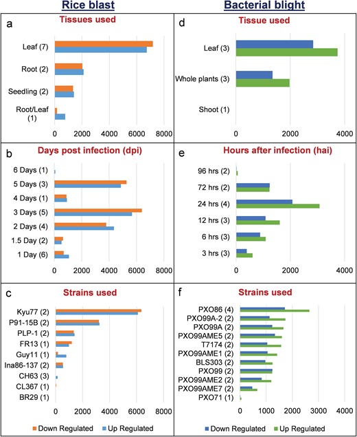 Distribution of DEGs in RiceMetaSys (biotic stress). (A–C) Distribution of rice blast RGs across tissues,dpi and strains. (D–F) Distribution of bacterial leaf blight RGs across tissues, hpi and strains.