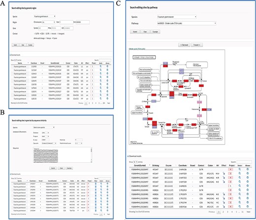 Retrieval of editing sites in FairBase. (A) The search page. Editing sites can be searched by genomic position including species, chromosome, and coordinate. Users can define extra filters to restrict retrieval results to the editing sites of interest. (B) The BLAST page. Users can search editing sites in genes based on the sequence similarity to a user-specified query sequence. (C) The pathway page. Users can search editing sites occurring in a specified pathway, in which the edited genes are tagged with a red background.