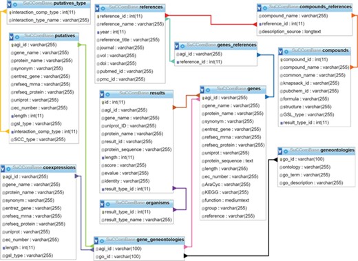 SuCComBase schema contains 12 tables with the connections from table to table.