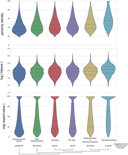 Distribution of BLASTP percent identities, logarithm of bit scores and negative logarithm of expect values for proteins orthologous to S. cerevisiae. The bottom half of orthologous proteins in the Saccharomycotina outgroup and Saccharomycetaceae has a percent identities of <40% and 58%, respectively; the bottom half of the expect-value ranges is >1e-60 and 1e-125 for the same groups. The wide and skewed distribution in the Saccharomycotina outgroup highlights the difficulty in making pairwise ortholog predictions for proteins with >400 millions of divergence in Dikarya fungi with BLASTP results; however, orthologs can be easily identified in the Saccharomycetaceae family because of their high sequence similarities and low expect values.