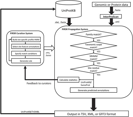 PIRSitePredict system overview.