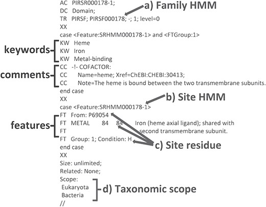 An example PIRSR (PIRSR000178-1) in UniRule flat file format. It specifies a set of test conditions that candidate uncharacterized proteins must pass to get corresponding annotations, including features with associated comments and keywords. The test conditions include the following: (a) a whole protein based family HMM (see TR); (b) a site-specific profile HMM (SRHMM); (c) functionally and structurally characterized residues of a manually curated template protein sequence; (d) the candidate protein is from an organism within the defined taxonomic scope.