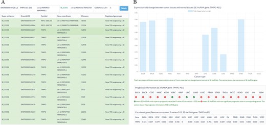 Sample output diagram for the result of the SE-lncRNA section. (A) Information about super enhancers, SE-lncRNAs and their associated genes. (B) Cancer-related information about SE-lncRNAs, including their expression profiles, prognostic information and significantly associated genes in cancers.