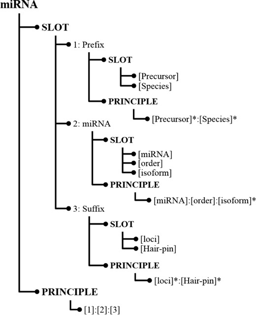 Knowledge represented for miRNA in InfoMap.