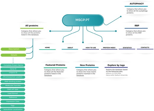 Structure of the MSGP database, depicting the main sections, different filters, tags and forms to explore and retrieve the information stored in the database.