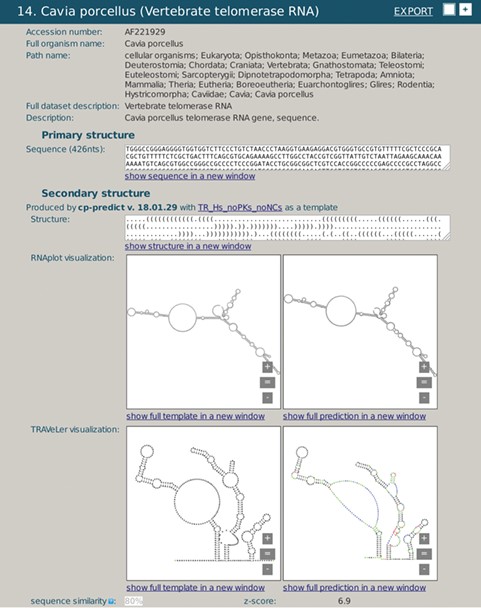 A snapshot of rPredictorDB output for C. porcelanus TR RNA. Panels (a) and (c) show secondary structure of a template (H. sapiens TR RNA) displayed by RNAplot and Traveler, respectively. Panels (b) and (d) show secondary structure of C. porcelanus TR predicted using H. sapiens TR RNA as a template, displayed by RNAplot and Traveler, respectively.