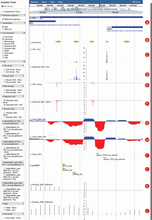 An Example of using YeasTSS Genome Browser to explore transcription initiation landscape. A 1.5 kb region around the CP region of LAS17 on chrXV (674 807–676 348). The available tracks in S. cerevisiae are provided in the left panel of genome browser. Two consensus CPs on the forward strand are present within 1000 bp upstream of LAS17 ORF. The transcription activity of each CP can be visualized by the TSS tracks. Different CP activities can be observed between the YPD and YPGal (galactose 2%) growth conditions in S. cerevisiae. Only a few tracks were selected in this case. These tracks include: (A) Genome annotation from SGD; (B) consensus CPs; (C) TSS map on plus strand under YPD condition; (D) TSS map on plus strand under YPGal (galactose 2%) condition; (E) TSS map on minus strand under YPD condition; (F) TSS map on minus strand under YPGal condition; (G) nucleosome occupancy under YPD condition; (H) Nucleosome occupancy under YPGal condition; (I) TATA box; (J) position weight matrix (PWM) predicted binding sites; (K) histone modification H3K4me1; (L) histone modification H3K4me2.