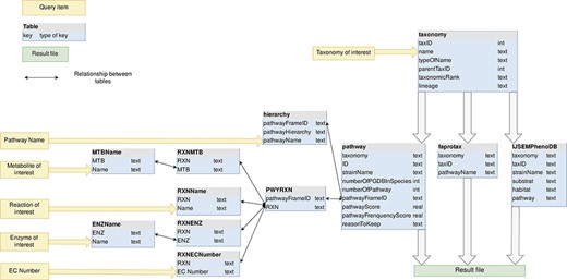 MACADAM database schema. Yellow arrows indicate the entry points of the database.